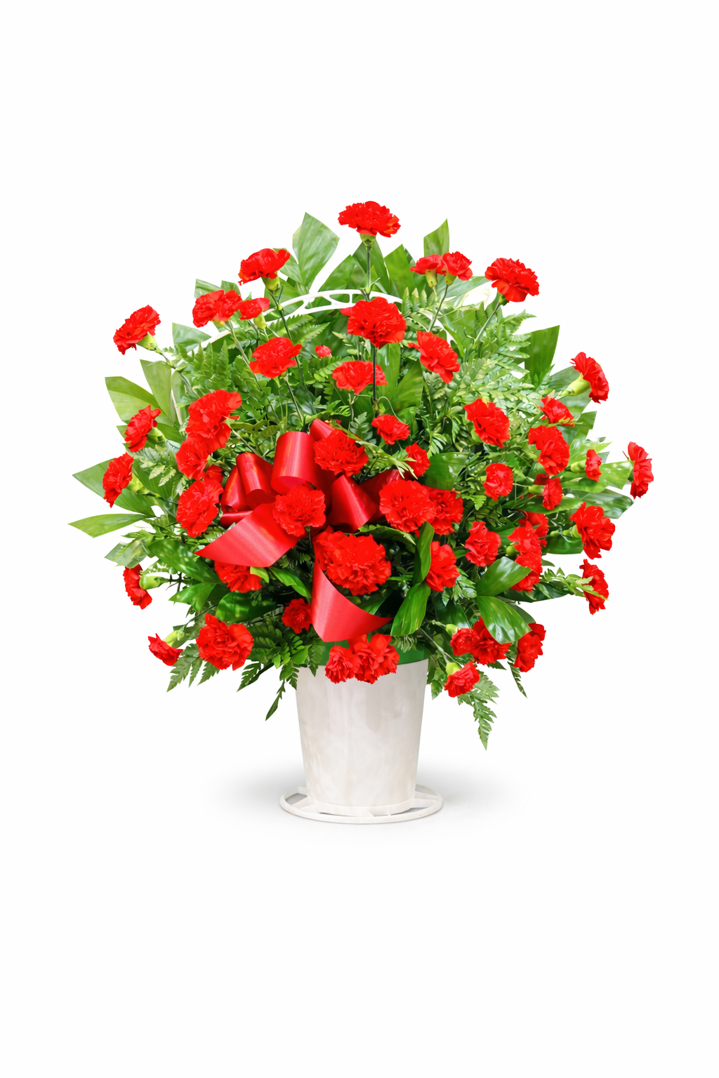 Bouquet of red carnation flowers with green leaves in a white plastic basket on a white background