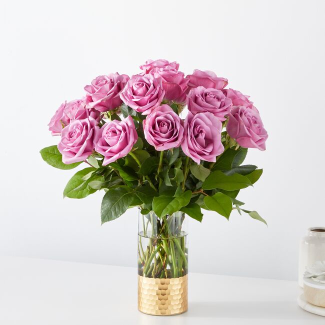 Classic Love Lavender Roses