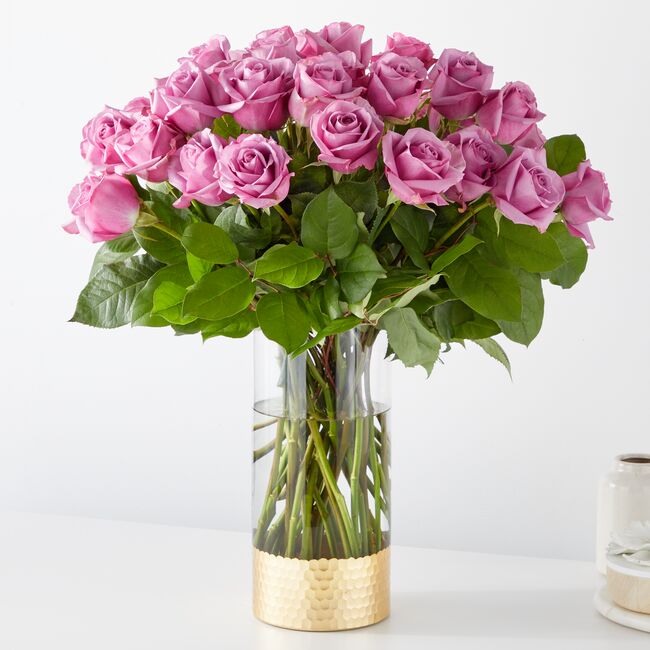 Classic Love Lavender Roses