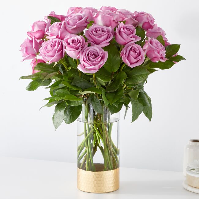 Classic Love Lavender Roses