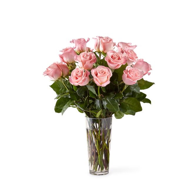 Long Stem Pink Roses