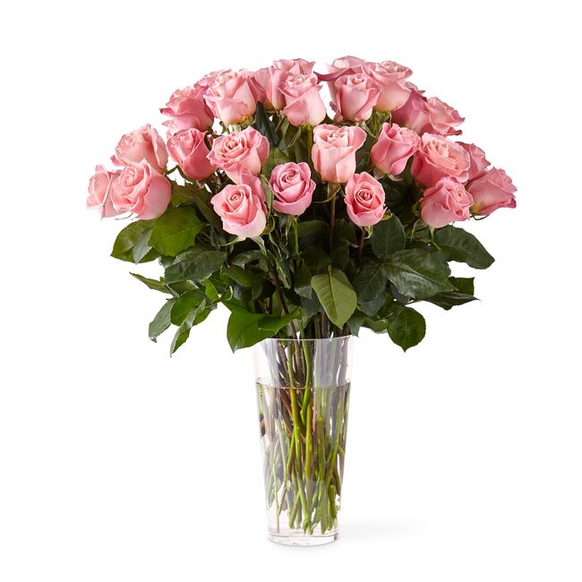 Long Stem Pink Roses