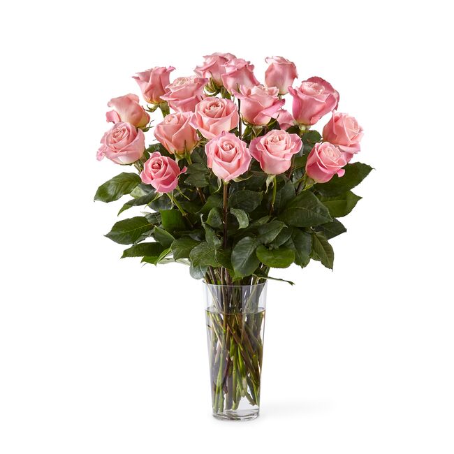 Long Stem Pink Roses
