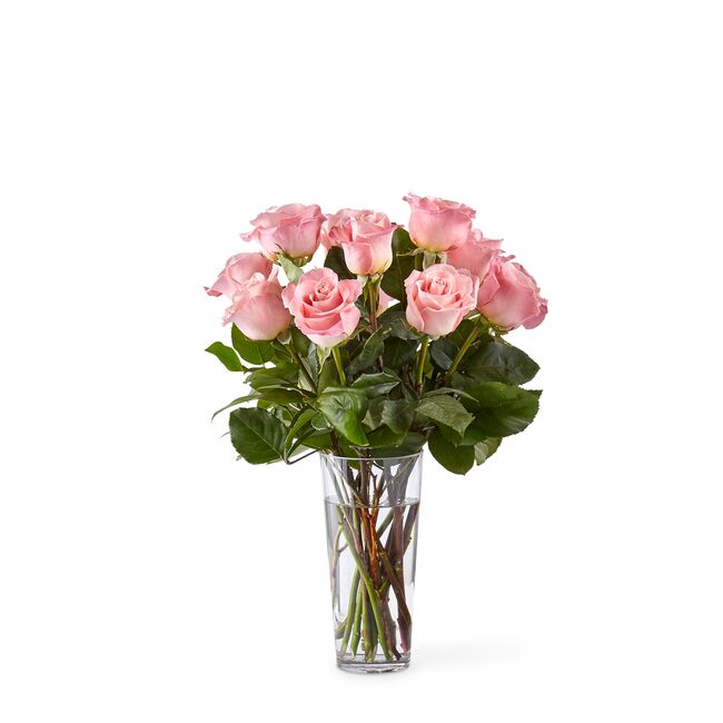 Long Stem Pink Roses