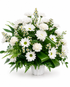 A white and green floral arrangement featuring white daisies, carnations, and asters in a white basket with aspidistra leaves, set against a plain white background.