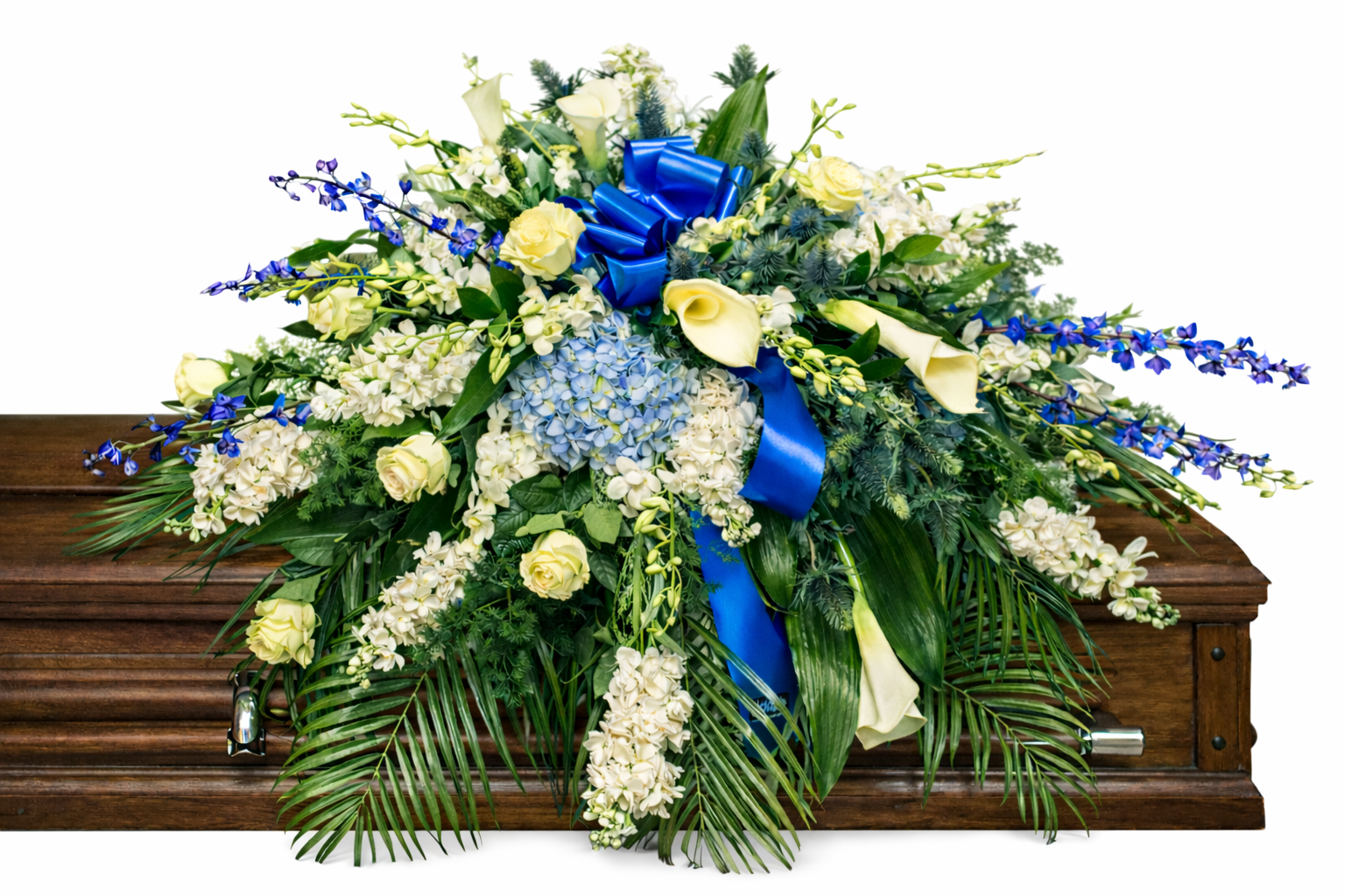 Elegant casket spray featuring white roses, white calla lilies, blue hydrangea, delicate blue delphiniums , and lush greenery, accented with a royal blue satin bow and arranged atop a wooden casket in a softly lit chapel setting.