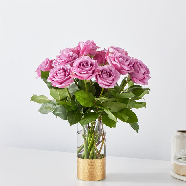 Classic Love Lavender Roses