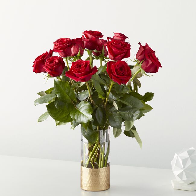 Classic Love Red Rose