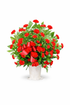 Bouquet of red carnation flowers with green leaves in a white plastic basket on a white background